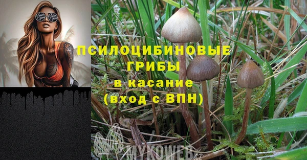 скорость Михайловка